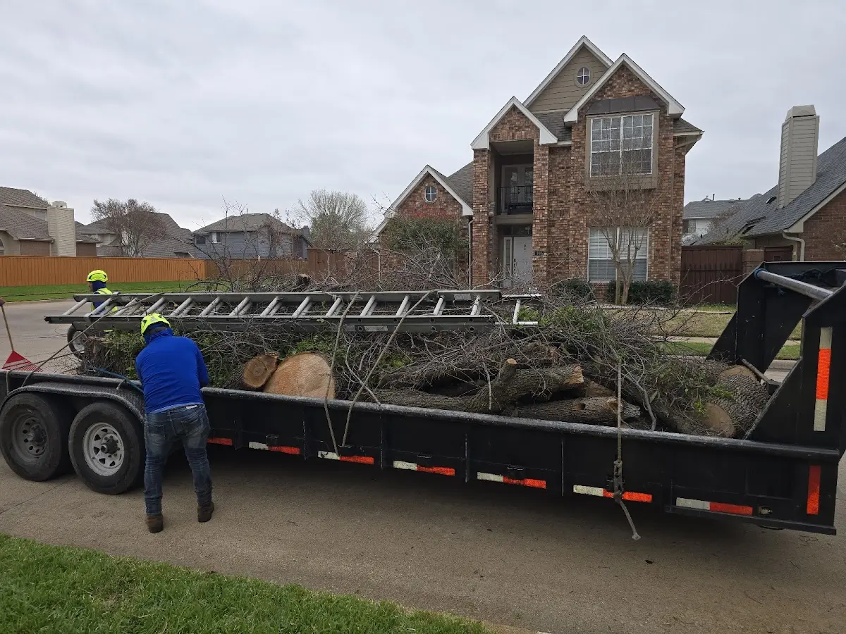 Expert Tree Removal with proper safety equipment in Mendham